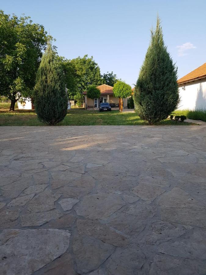 הוילה Cortanovci Vikendica Lesic מראה חיצוני תמונה
